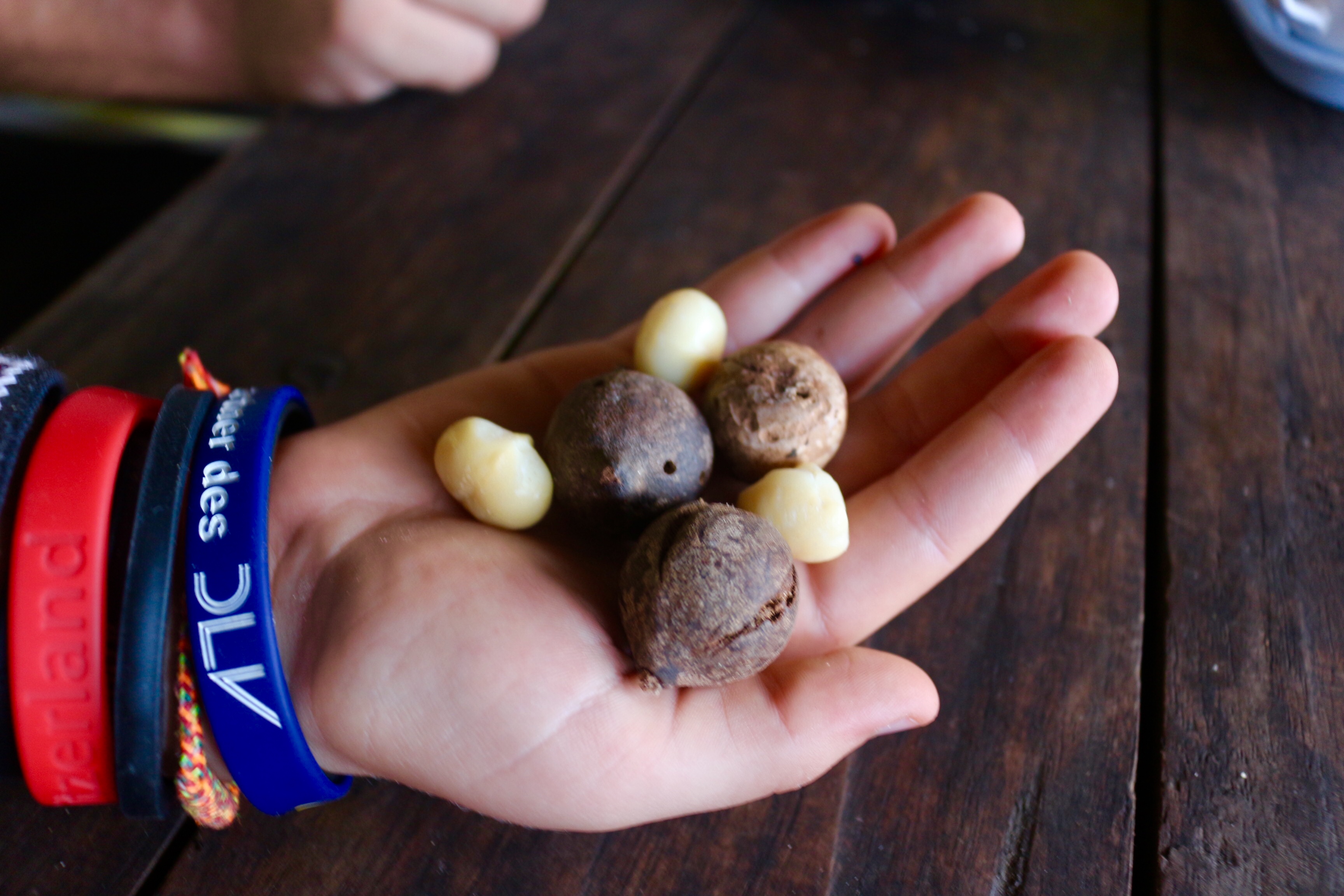 61567502-39B3-43D5-9A83-47E268E68EE7