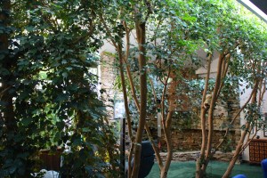 Une forêt intérieure