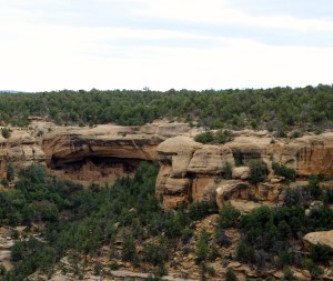 Mesa Verde - Cliff Palace