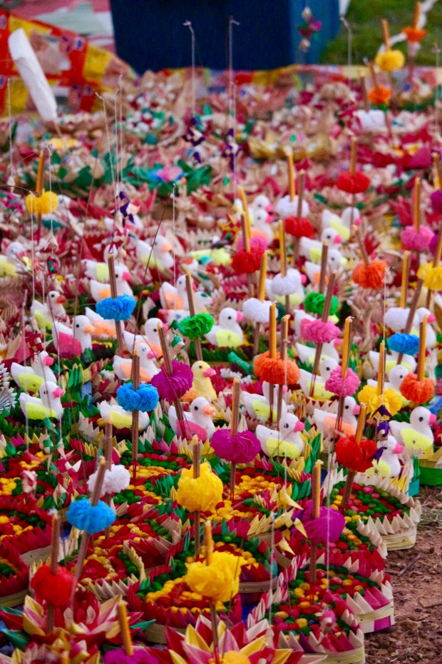 CE664518-747B-492C-AE76-31E53DD57CF3