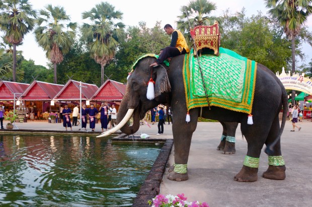 ED6732DF-B60E-4438-8E42-F5D890FC1DA8